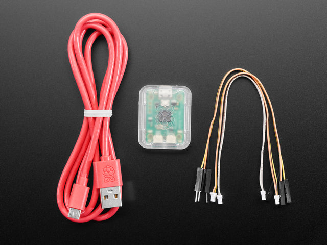 Raspberry Pi Debug Probe Kit for Pico and RP2040