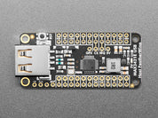 Adafruit USB Host FeatherWing with MAX3421E