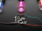 Cafe / Patio Light Bulb Strand with NeoPixel RGB LED - 20 Bulbs