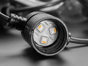 Cafe / Patio Light Bulb Strand with TM1814 RGBW LED - 20 Bulbs