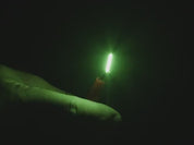 Single-Ended Flexible LED Filament - 3V 25mm long - Green