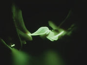 Single ended nOOds - 300mm long Flexible LED Filament - Green 3V