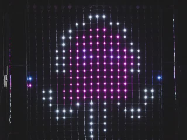 NeoPixel LED Outdoor Netting - 20 x 20 LEDs - 1x1 Meter Sizing