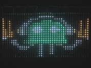 NeoPixel LED Outdoor Netting - 40 x 20 LEDs