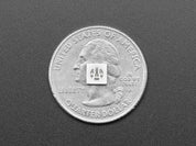 SMT RGB 5050 LED - 10 pack