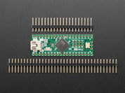 Teensy++ (AT90USB1286 USB dev board) + header