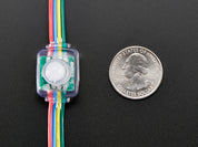 12mm  Diffused Flat Digital RGB LED Pixels (Strand of 25)