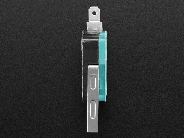 Micro Switch w/Lever - 2 Terminal