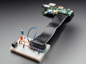 Adafruit Assembled Pi Cobbler Breakout + Cable for Raspberry Pi
