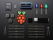 Raspberry Pi Model B starter pack Doesn't include Raspberry Pi 1