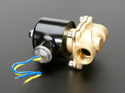 Brass Liquid Solenoid Valve - 12V - 1/2 Inch G / BSP Thread